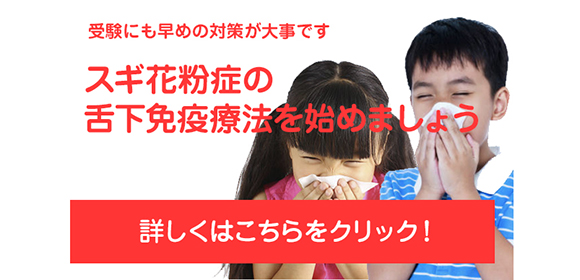 スギ花粉の舌下免疫療法をはじめました